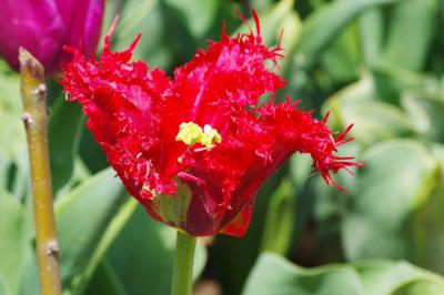 Прикрепленное изображение: LUKA6390.jpg